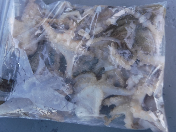 DSCF5358.JPG