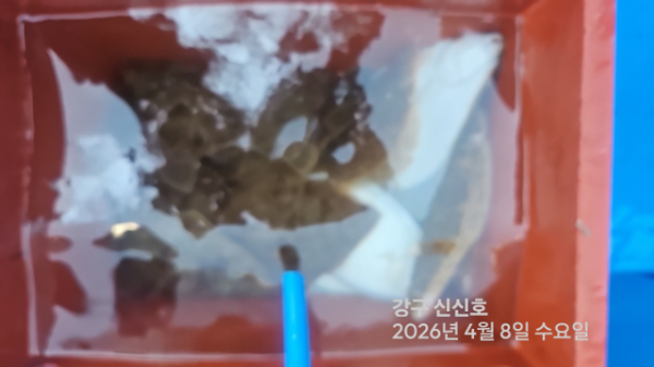 신신낚시 강구점 신신호_사진_20260408_17.jpg