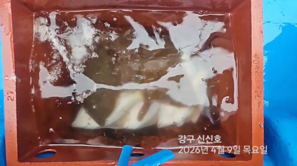 신신낚시 강구점 신신호_사진_20260409_16.jpg