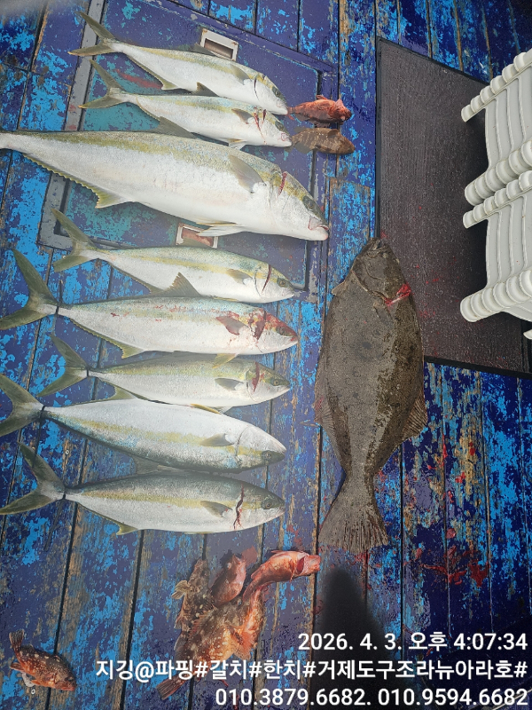 거제도 구조라  뉴아라호 (지깅, 파핑,한치,갈치,타이바라 전문)_사진_20260404_1.jpg