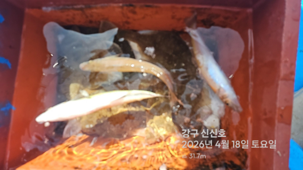 신신낚시 강구점 신신호_사진_20260418_20.jpg