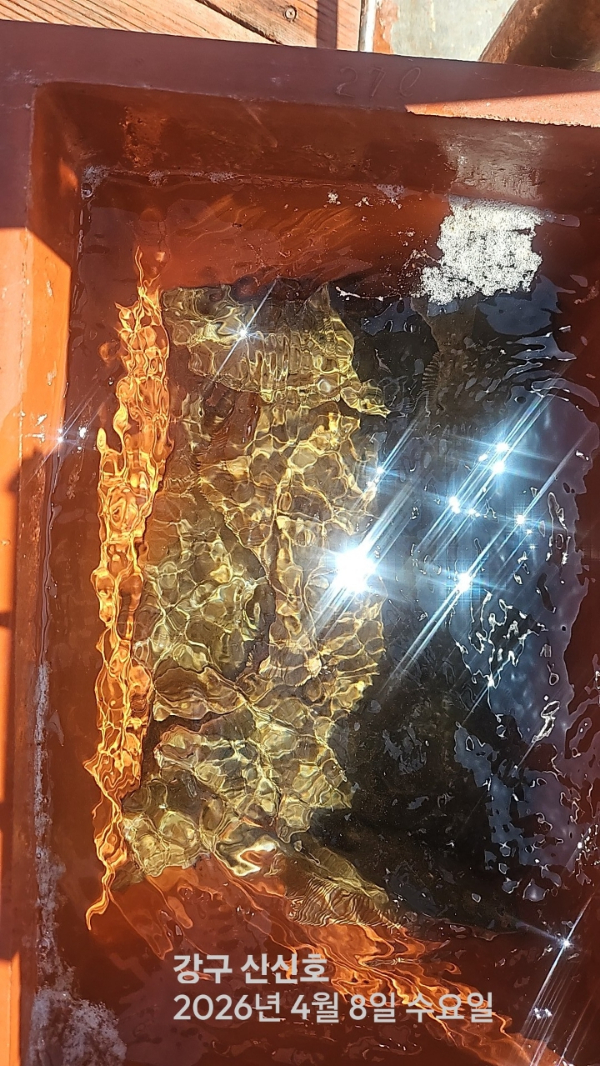 신신낚시 강구점 신신호_사진_20260408_7.jpg