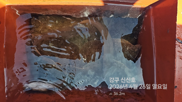 신신낚시 강구점 신신호_사진_20260426_14.jpg