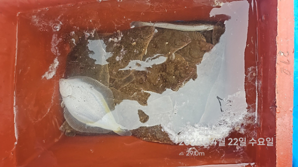 신신낚시 강구점 신신호_사진_20260422_10.jpg