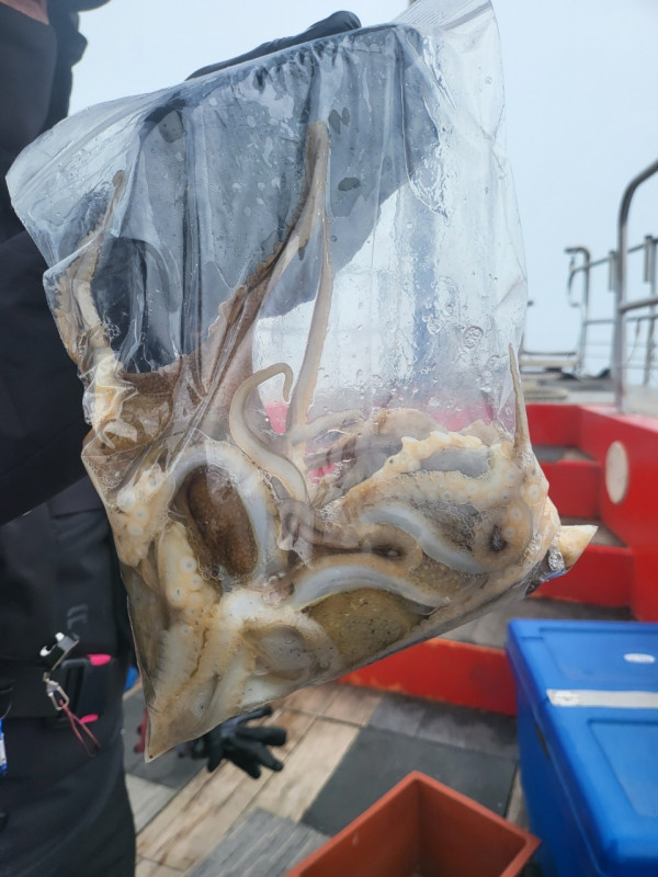 군산 선상낚시, 바다낚시 출조 전문 ☆서군산낚시☆_사진_20260411_9.jpg