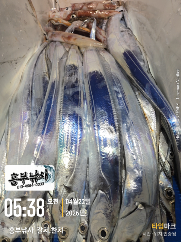 2026-04-22 05.38.00__(-흥부낚시  갈치.한치).jpg