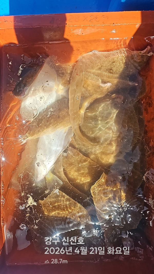 신신낚시 강구점 신신호_사진_20260421_16.jpg