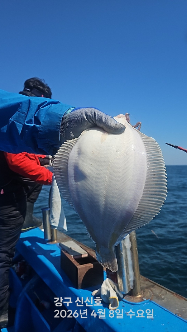 신신낚시 강구점 신신호_사진_20260408_6.jpg