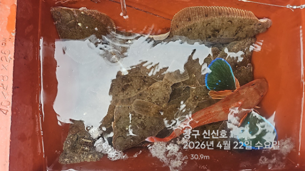 신신낚시 강구점 신신호_사진_20260422_9.jpg