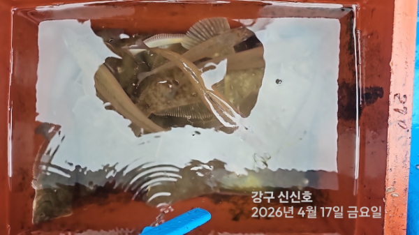 신신낚시 강구점 신신호_사진_20260417_16.jpg
