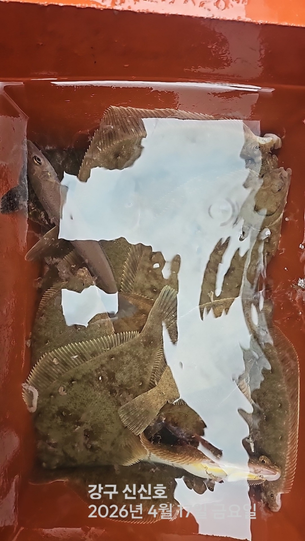신신낚시 강구점 신신호_사진_20260417_20.jpg