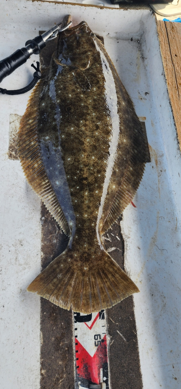 예지퀸호 농어외수질&어초낚시 경기인천권_사진_20260429_8.jpg