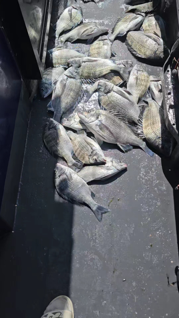 2026_04_13 11_09(1).jpg