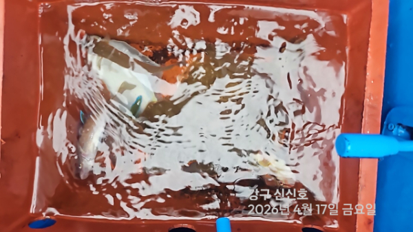 신신낚시 강구점 신신호_사진_20260417_18.jpg