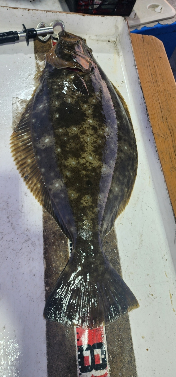 예지퀸호 농어외수질&어초낚시 경기인천권_사진_20260429_4.jpg