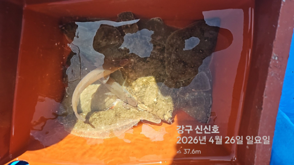 신신낚시 강구점 신신호_사진_20260426_16.jpg