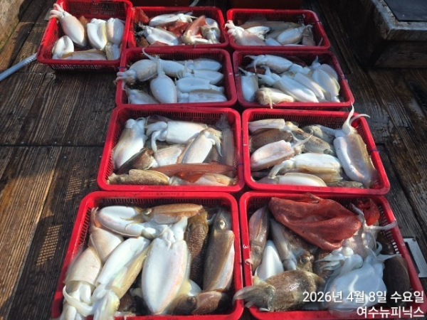 4월8일심해갑 (1).jpg