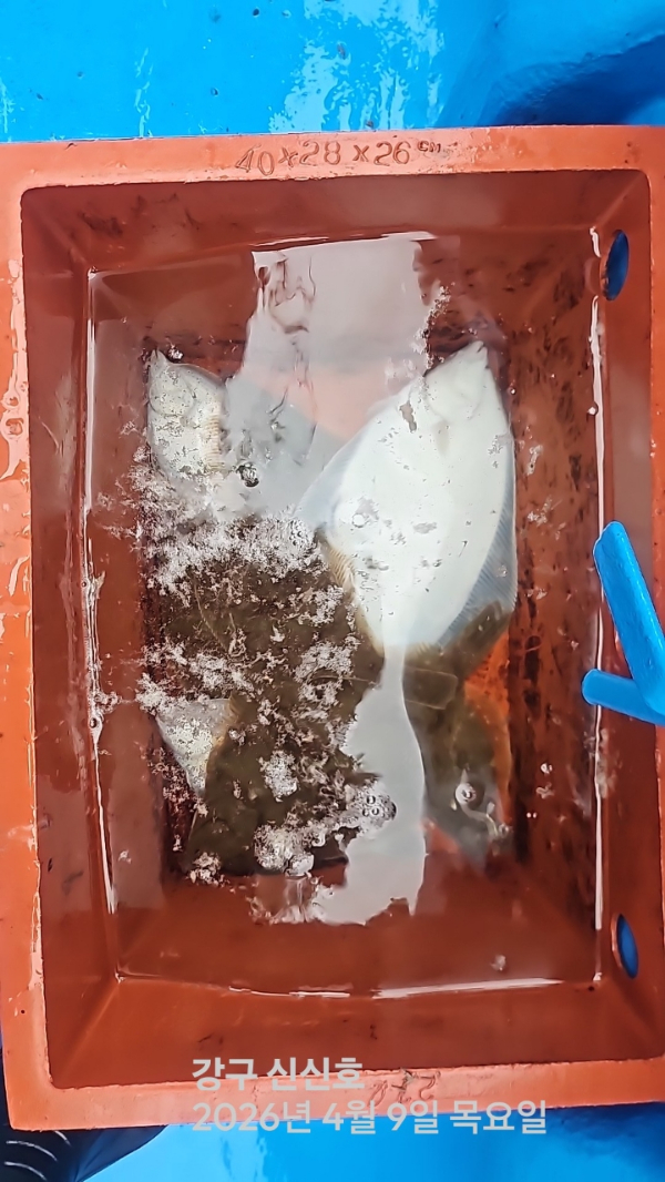 신신낚시 강구점 신신호_사진_20260409_19.jpg