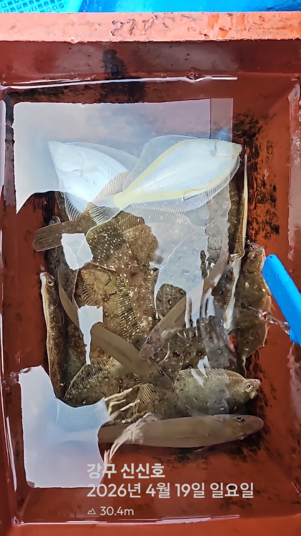 신신낚시 강구점 신신호_사진_20260419_16.jpg