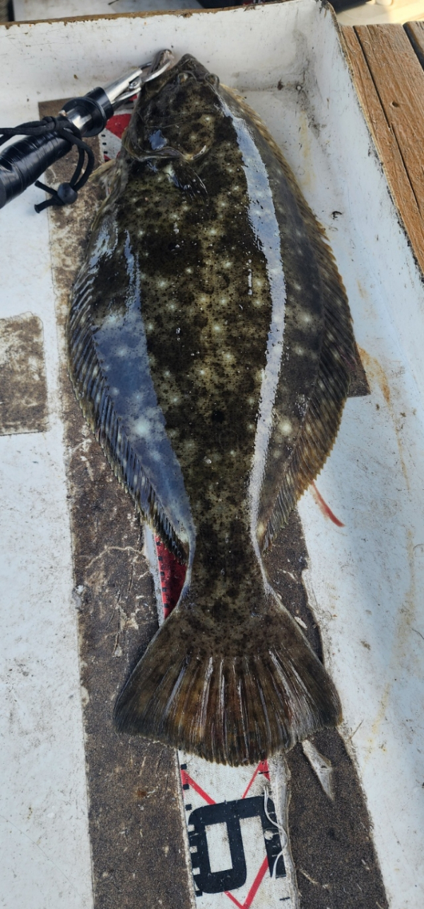 예지퀸호 농어외수질&어초낚시 경기인천권_사진_20260429_10.jpg