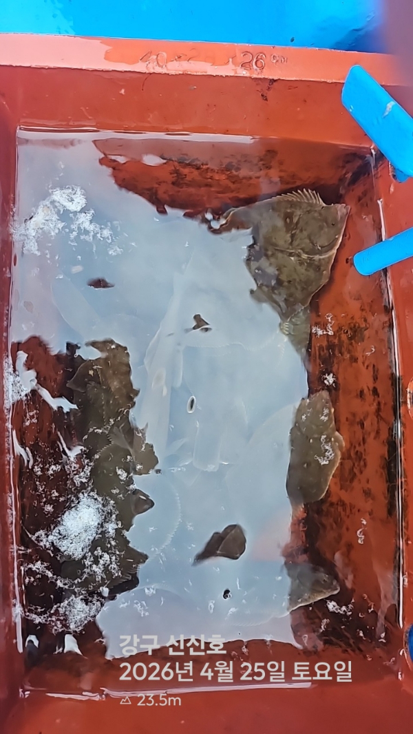 신신낚시 강구점 신신호_사진_20260425_15.jpg