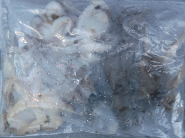 DSCF5357.JPG
