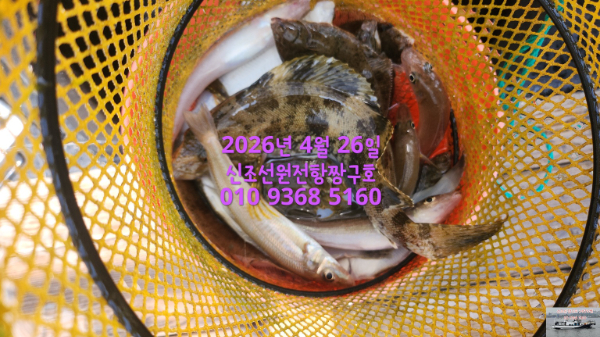KakaoTalk_20260430_114444318_03.jpg
