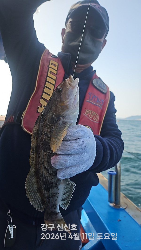 신신낚시 강구점 신신호_사진_20260411_5.jpg