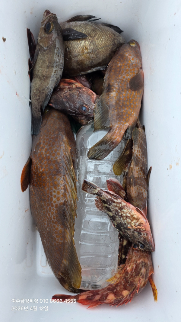 여수금강피싱_사진_20260412_27.jpg