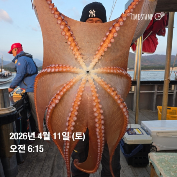 [크기변환]1775890817941.jpg