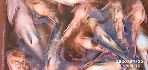 bandicam 2026-04-16 14-38-19-013.jpg