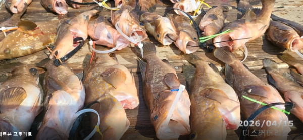 bandicam 2026-04-16 14-16-31-118.jpg