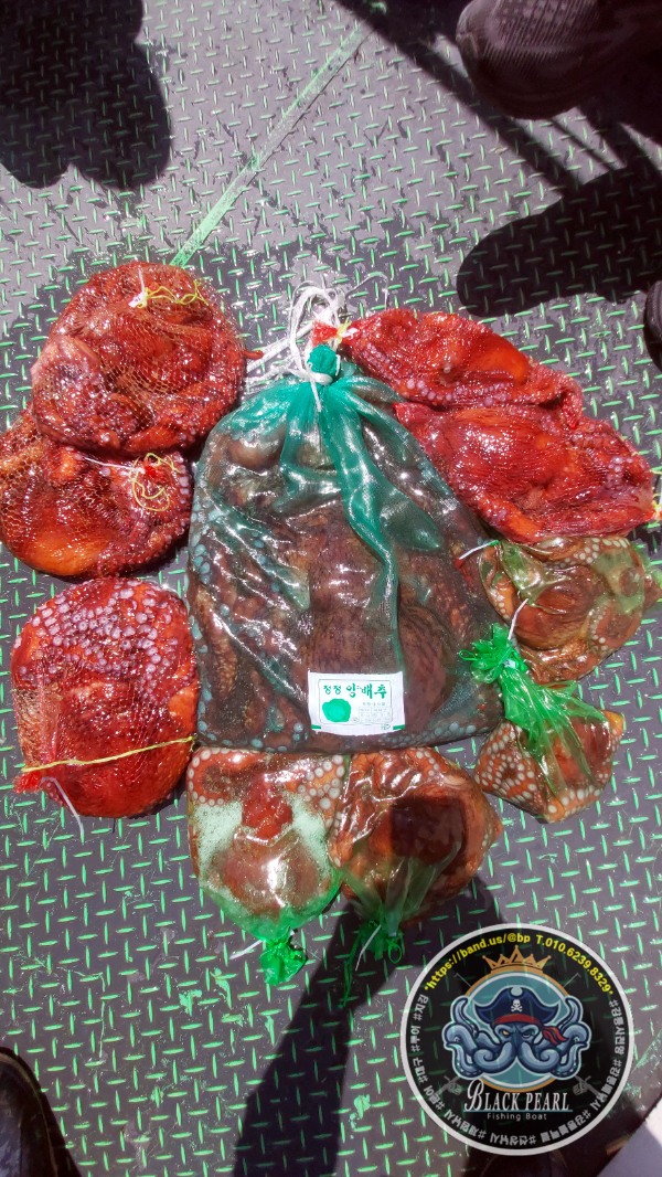 KakaoTalk_20260426_145158084_07.jpg