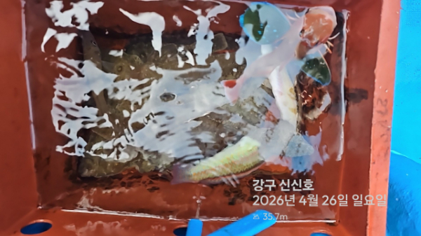 신신낚시 강구점 신신호_사진_20260426_20.jpg
