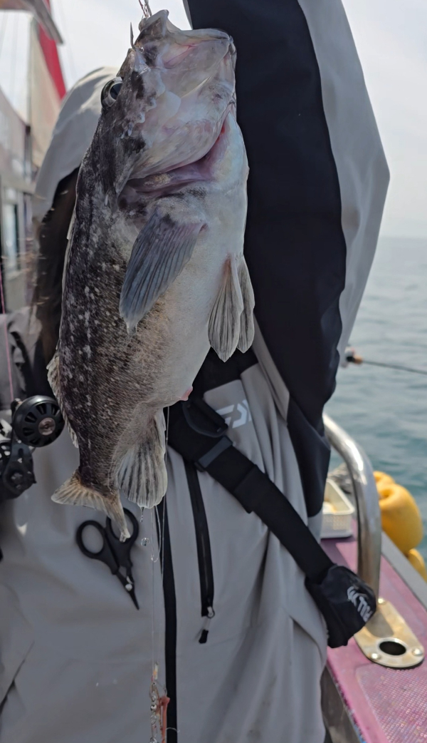 Screenshot_20260412_143711_Video Player.jpg