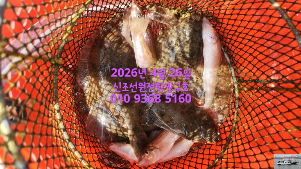 KakaoTalk_20260430_114444318_06.jpg