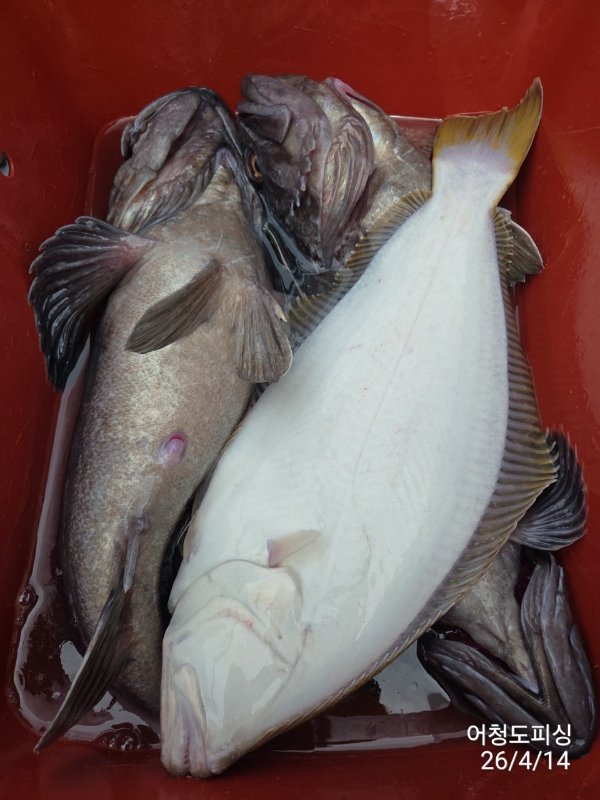 최강피싱 063.463.0800_사진_20260414_34.jpg