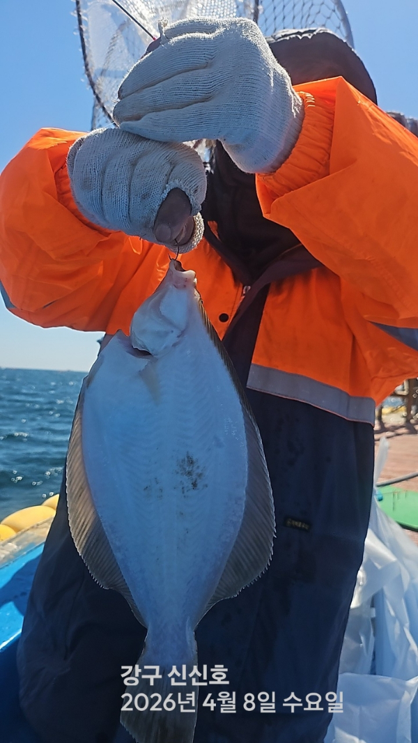신신낚시 강구점 신신호_사진_20260408_2.jpg