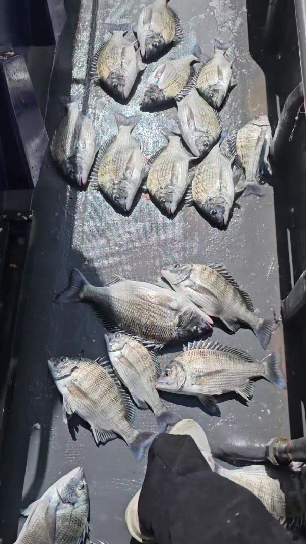 2026_04_13 11_09(2).jpg