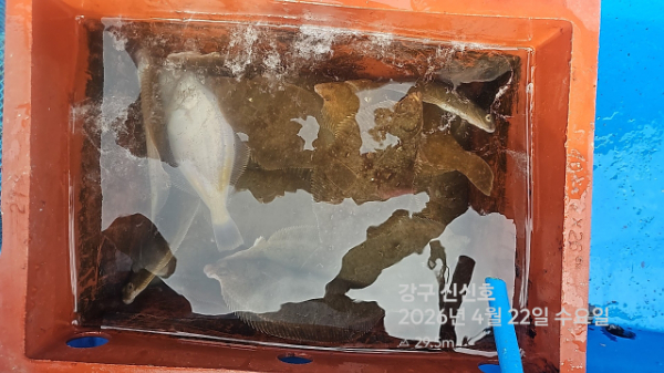 신신낚시 강구점 신신호_사진_20260422_19.jpg