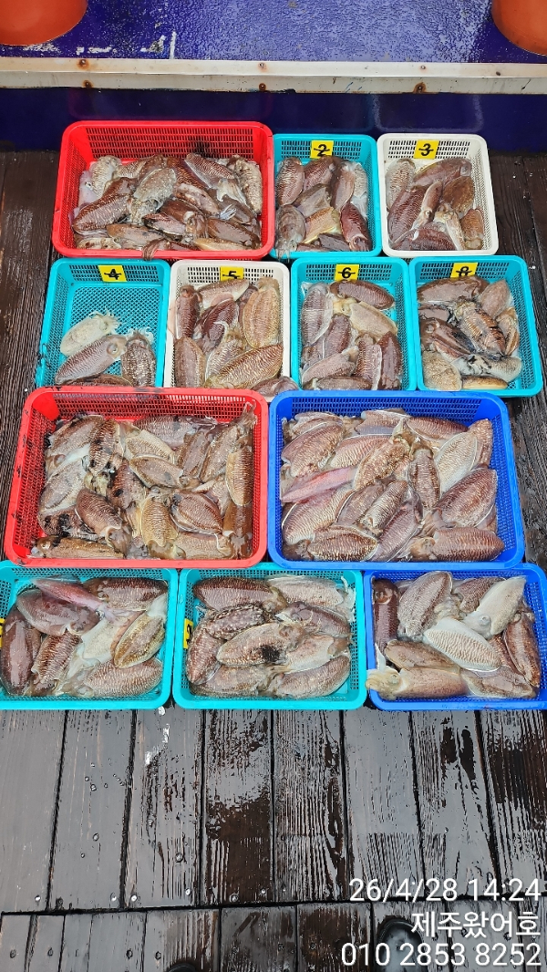 제주왔어호_사진_20260429_1.jpg