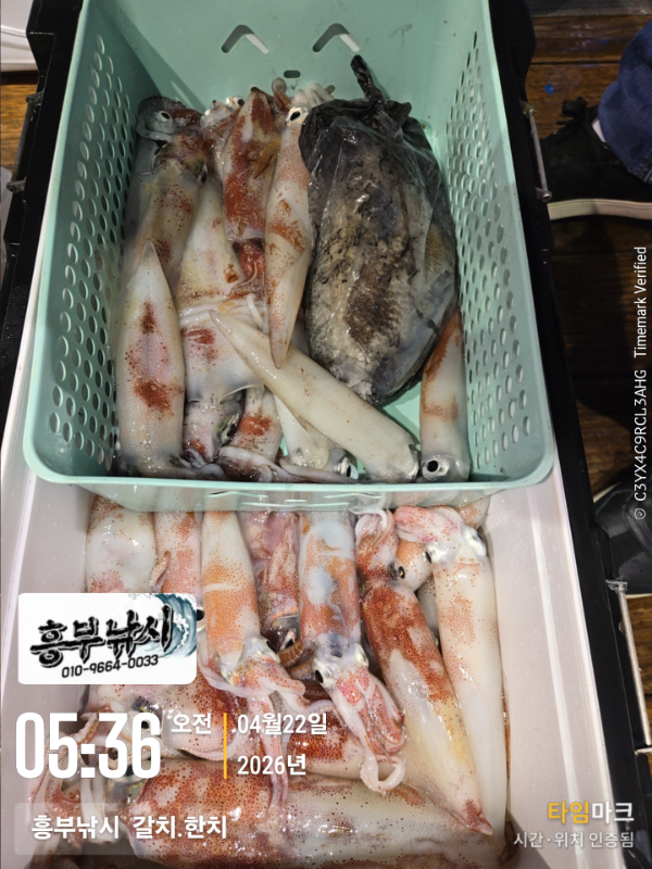 2026-04-22 05.36.56__(-흥부낚시  갈치.한치).jpg