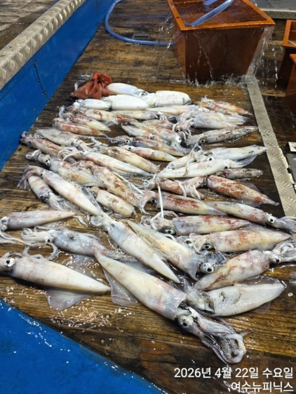 2094월22일갑한치 (54).jpg