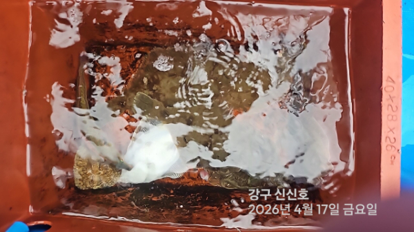 신신낚시 강구점 신신호_사진_20260417_19.jpg