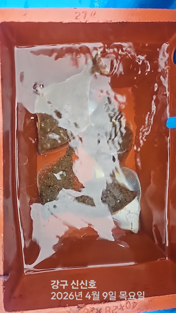 신신낚시 강구점 신신호_사진_20260409_9.jpg