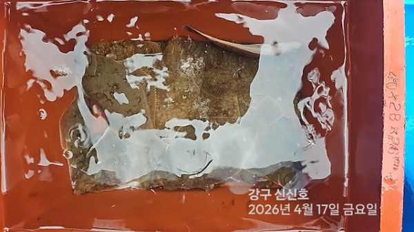 신신낚시 강구점 신신호_사진_20260417_10.jpg