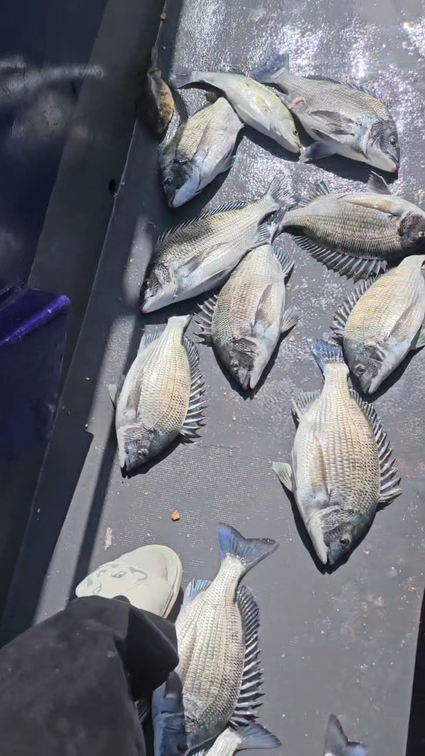 2026_04_13 11_09(3).jpg