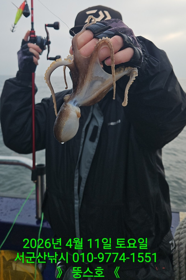 군산 선상낚시, 바다낚시 출조 전문 ☆서군산낚시☆_사진_20260411_3.jpg