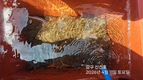 신신낚시 강구점 신신호_사진_20260411_16.jpg