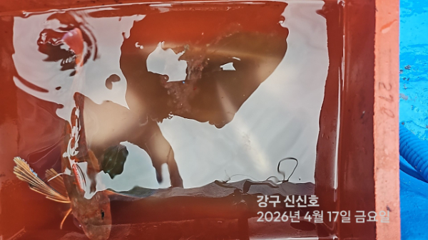 신신낚시 강구점 신신호_사진_20260417_14.jpg
